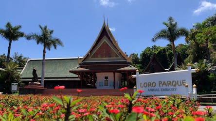 Loro Parque transfer only ticket